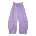 2026 New Arrival Light Purple American Side-Striped Casual Pants for Women, Trendy Brand Spliced Draping Wide‑Leg Sweatpants